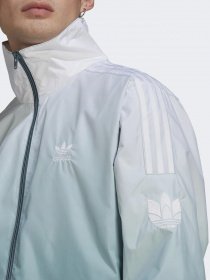 Спортивна кофта Adidas ADICOLOR 3D TREFOIL OMBRÉ модель GN3589 Фото