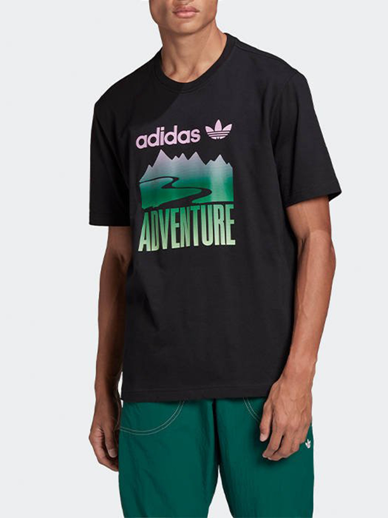 Футболки и поло Adidas ADVENTURE MOUNTAIN LOGO модель GN2357 Фото