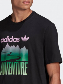 Футболки и поло Adidas ADVENTURE MOUNTAIN LOGO модель GN2357 Фото