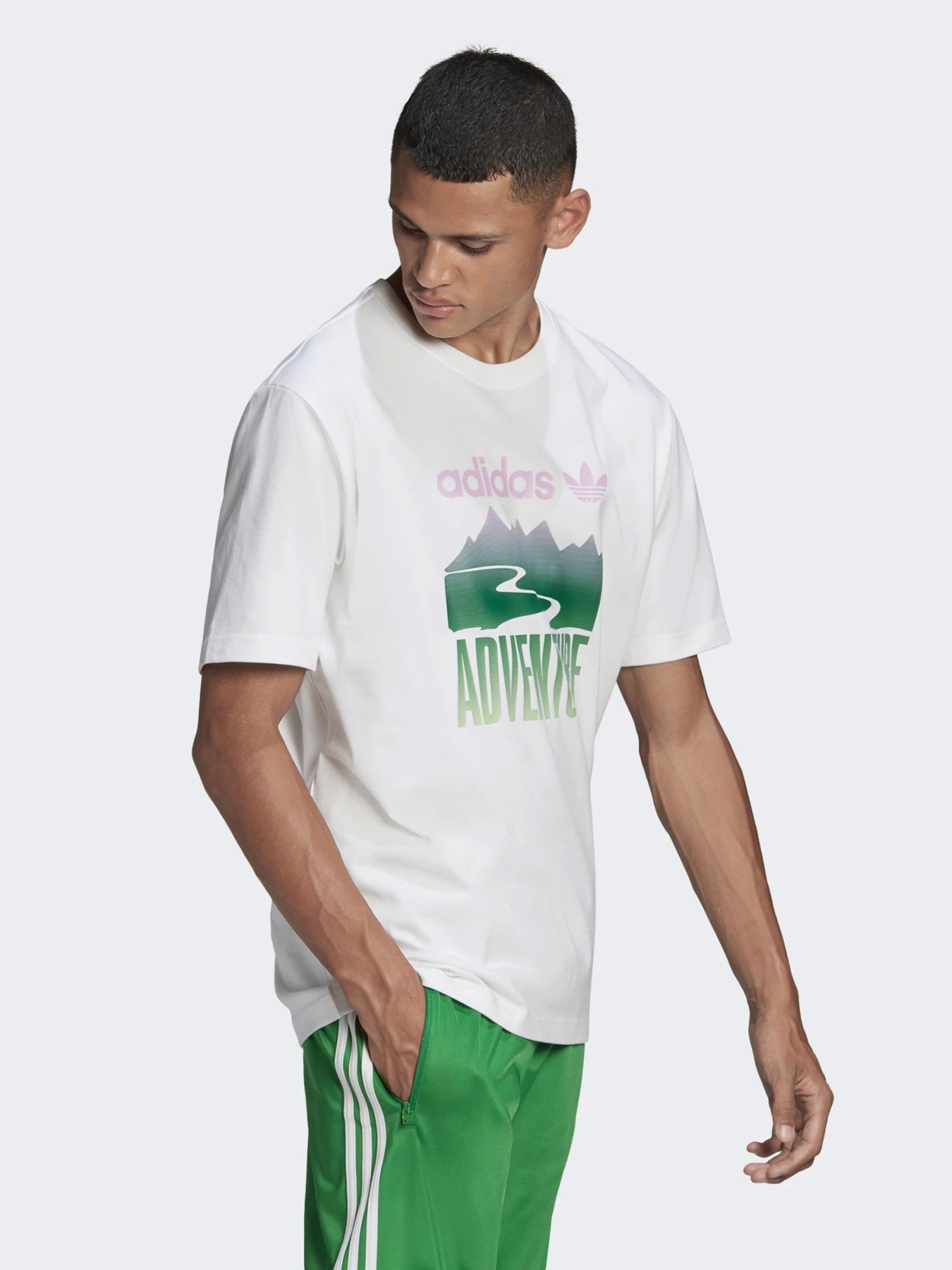 Футболки і поло Adidas ADVENTURE MOUNTAIN LOGO модель GN2358 Фото