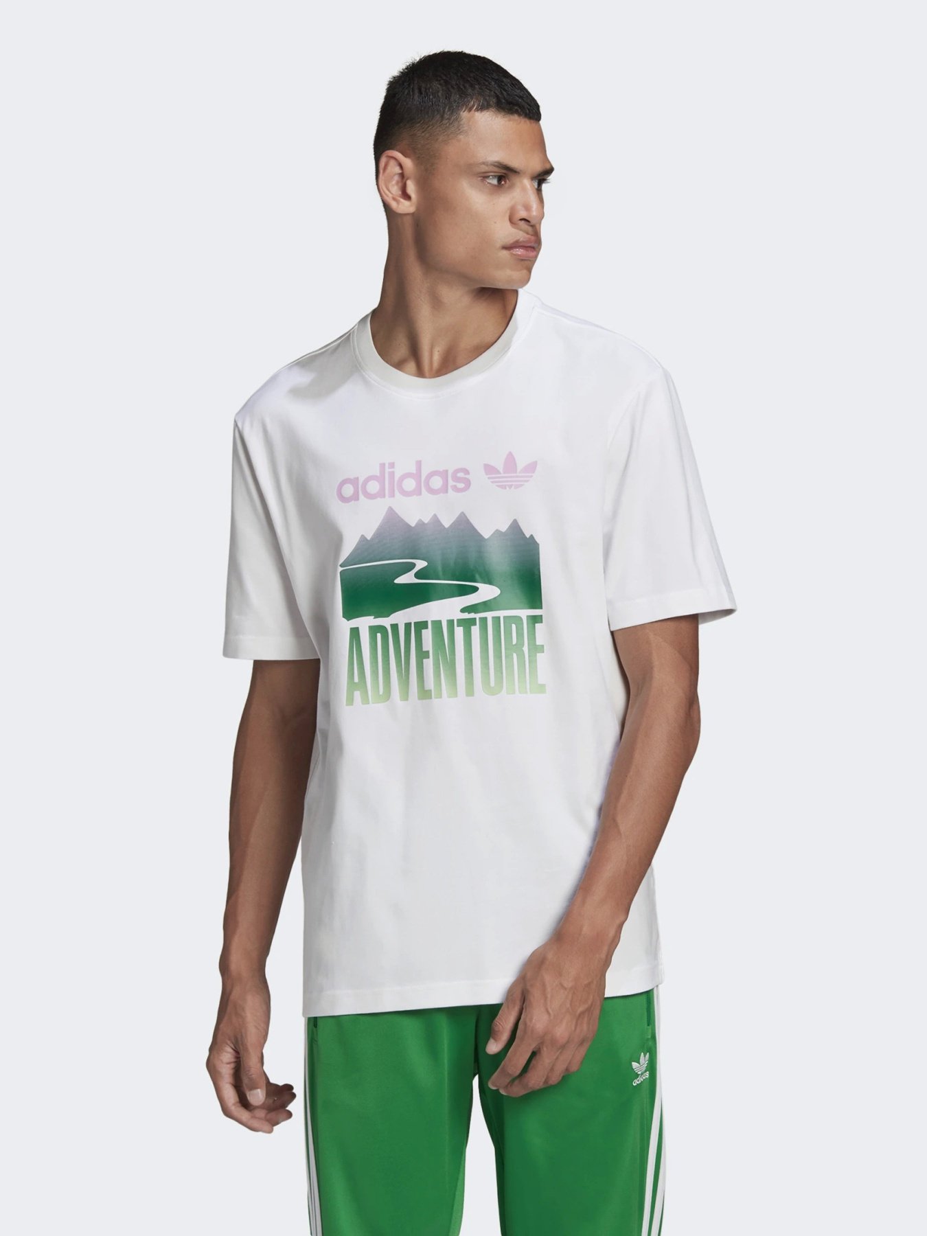 Футболки і поло Adidas ADVENTURE MOUNTAIN LOGO модель GN2358 Фото