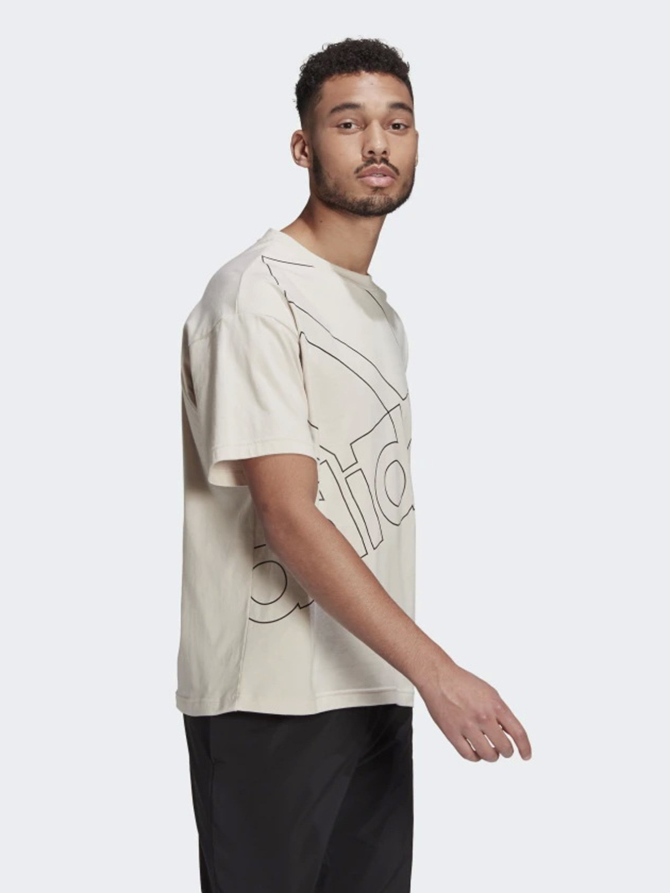 Футболки и поло Adidas GIANT LOGO модель GK9423 Фото