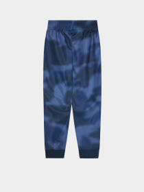 Штаны спортивные Adidas ALLOVER PRINT CAMO SST модель GN4129 Фото