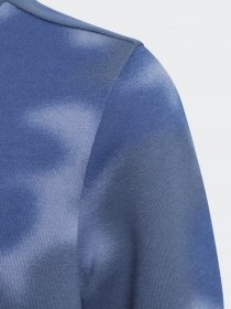 Світшот Adidas ALLOVER PRINT CAMO CREW модель GN4130 Фото