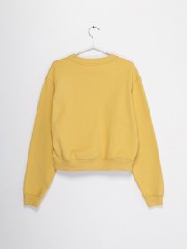 Свитшот COS модель 0842798_жовтий Свитшот COS модель 0842798_жовтий Фото