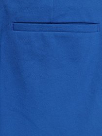 Повсякденні штани COS модель 0200024_синій Фото