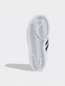 Кеды низкие Adidas SUPERSTAR модель EF4838 Фото