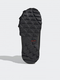 Ботинки Adidas Terrex Snow Cf R.RD модель FU7276 Фото