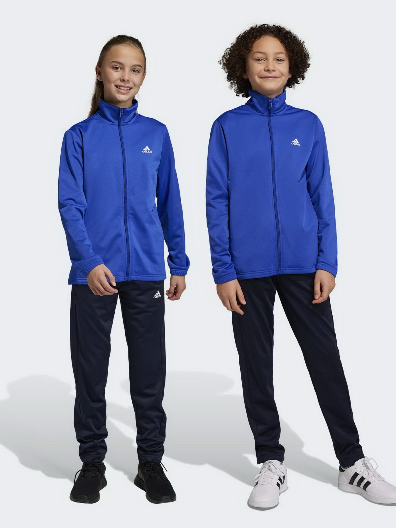 Спортивний костюм Adidas Essentials Big Log модель HR6408 Фото