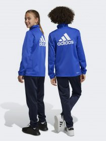 Спортивный костюм Adidas ESSENTIALS BIG LOG модель HR6408 Фото