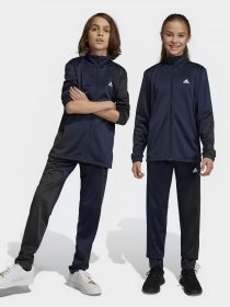 Спортивний костюм Adidas Essentials Big Log модель IC5685 Фото