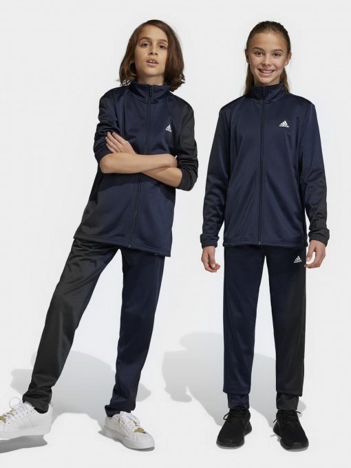 Спортивный костюм Adidas Essentials Big Log модель IC5685 Фото