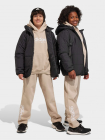 Штаны спортивные Adidas All SZN Fleece модель IB3234 Фото