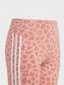 Спортивные леггинсы Adidas Animal Allover Print High Waist модель IJ0757 Фото