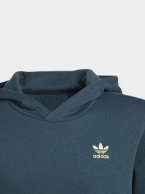Худи Adidas Adicolor модель IJ9717 Фото