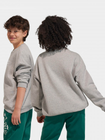 Свитшот Adidas Fleece Crew модель IL4931 Фото