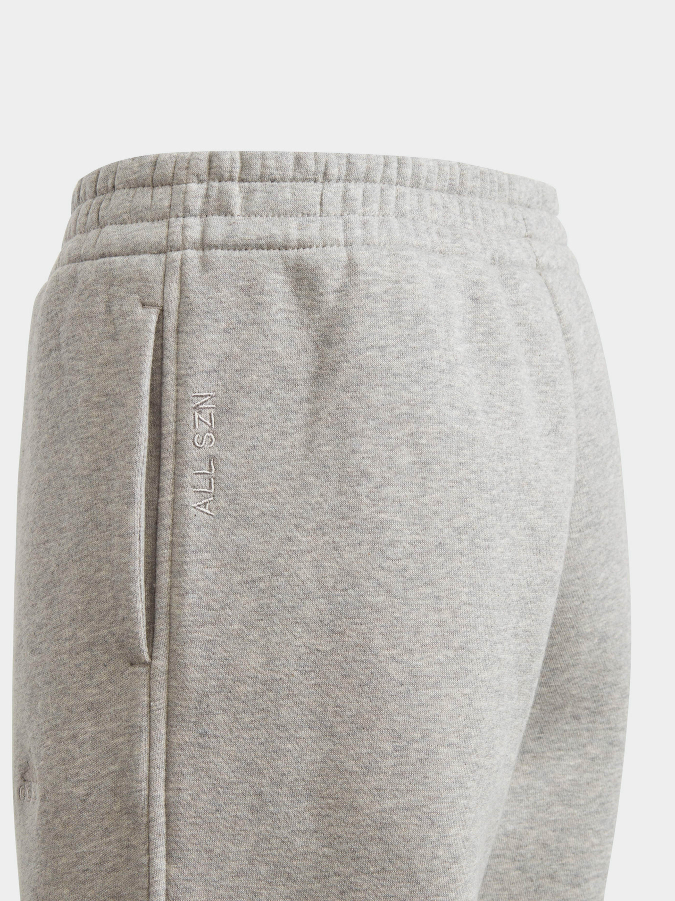 Спортивні штани Adidas All SZN Fleece модель IL4936 Фото