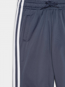 Спортивний костюм Adidas Spring модель IS2637 Фото