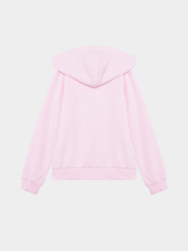 Кофта спортивная Adidas Lin Fz Hd модель IS2666 Фото