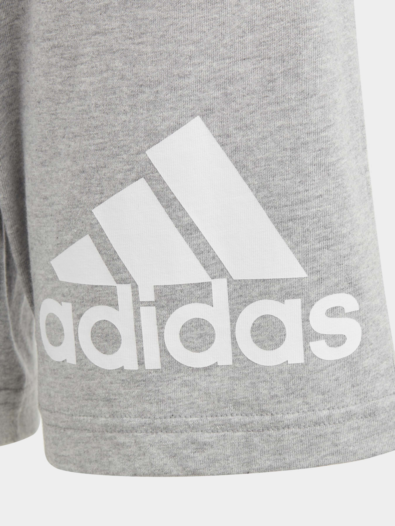 Шорты спортивные Adidas Essentials Big Logo Cotton модель HY4720 Фото