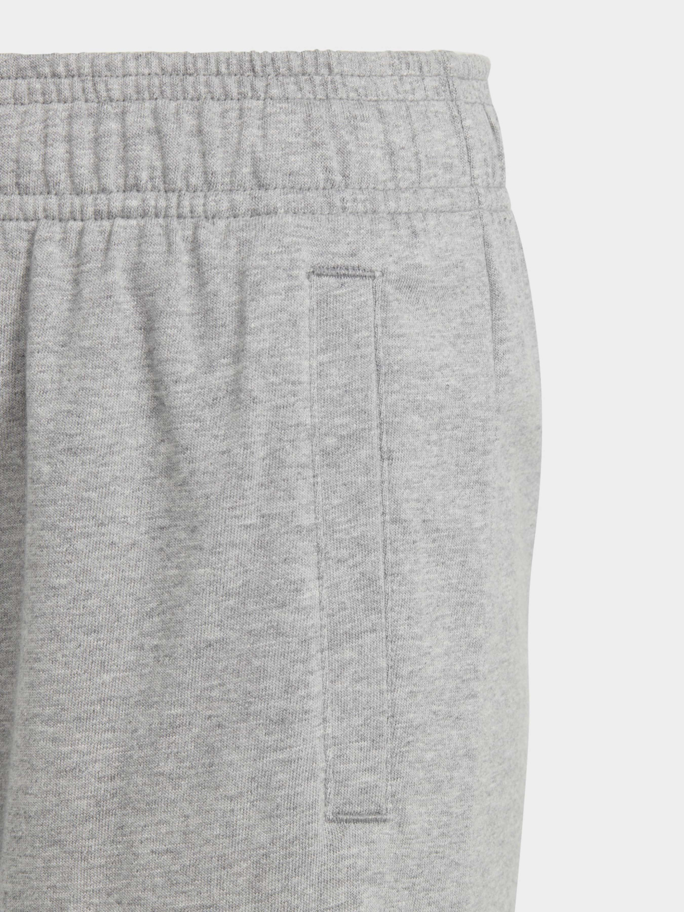 Шорты спортивные Adidas Essentials Big Logo Cotton модель HY4720 Фото