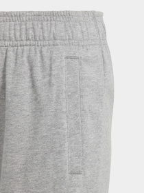 Шорты спортивные Adidas Essentials Big Logo Cotton модель HY4720 Фото