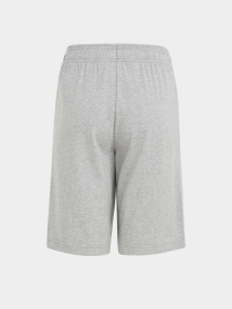 Шорты спортивные Adidas Essentials Big Logo Cotton модель HY4720 Фото