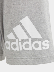 Спортивні шорти Adidas ESSENTIALS BIG LOGO COTTON модель HY4720 Фото
