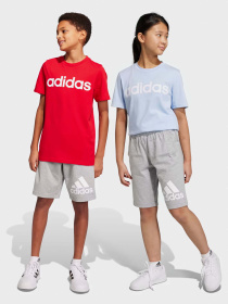 Спортивні шорти Adidas ESSENTIALS BIG LOGO COTTON модель HY4720 Фото