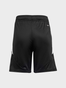 Шорты спортивные Adidas TIRO 24 PERFORMANCE модель IR9368 Фото