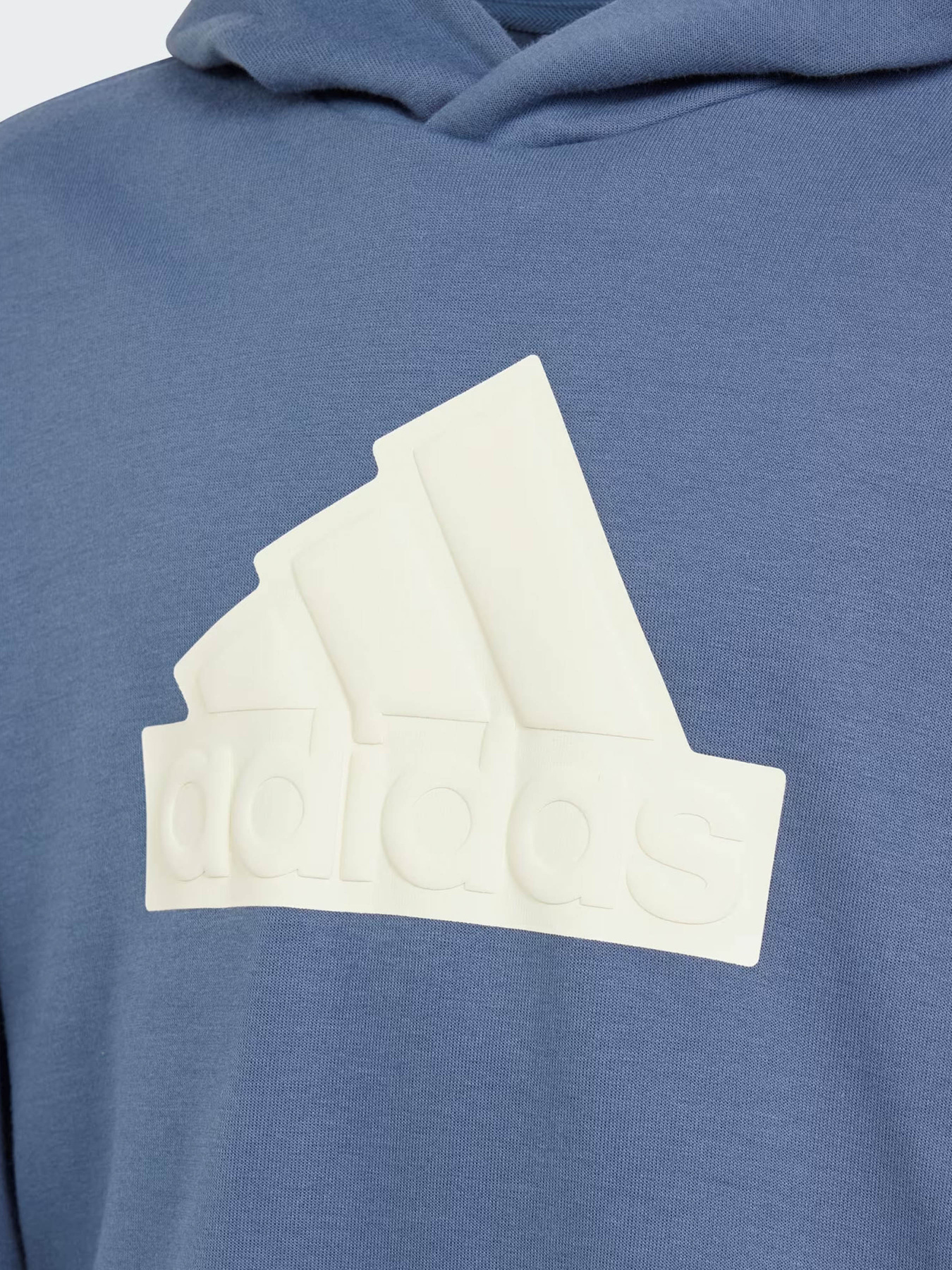 Худи Adidas Future Icons Logo Sportswear модель IR8306 Фото