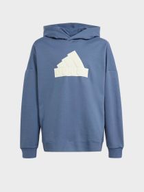 Худи Adidas Future Icons Logo Sportswear модель IR8306 Фото