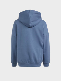 Худи Adidas Future Icons Logo Sportswear модель IR8306 Фото