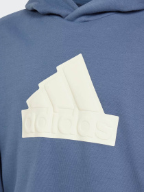 Худи Adidas Future Icons Logo Sportswear модель IR8306 Фото