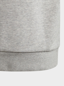 Худі Adidas Trefoil Originals модель GE1979 Фото