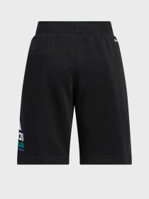 Шорты спортивные Adidas Originals Adicolor 3-Stripes модель HZ7085 Фото