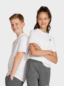 Футболка Adidas Essentials Small Logo модель IB4093 Фото