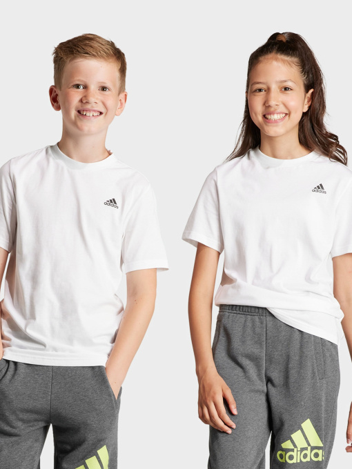 Футболка Adidas Essentials Small Logo модель IB4093 Фото