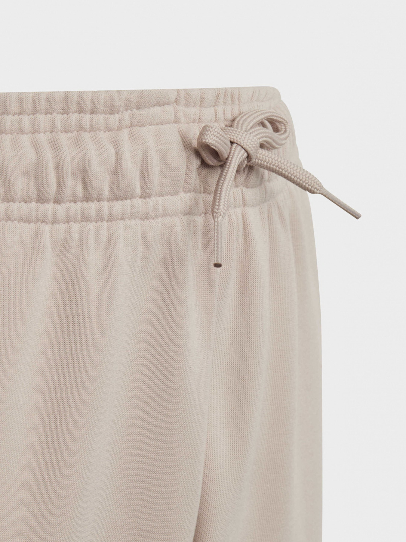 Штаны спортивные Adidas Future Icons 3-Stripes Sportswear модель IC0117 Фото