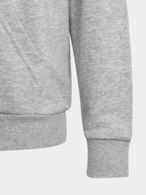 Худи Adidas Big Logo Essentials модель IC6835 Фото