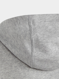 Худи Adidas Big Logo Essentials модель IC6835 Фото