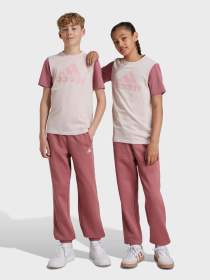 Штаны спортивные Adidas Essentials Feel Cozy модель IW0868 Фото