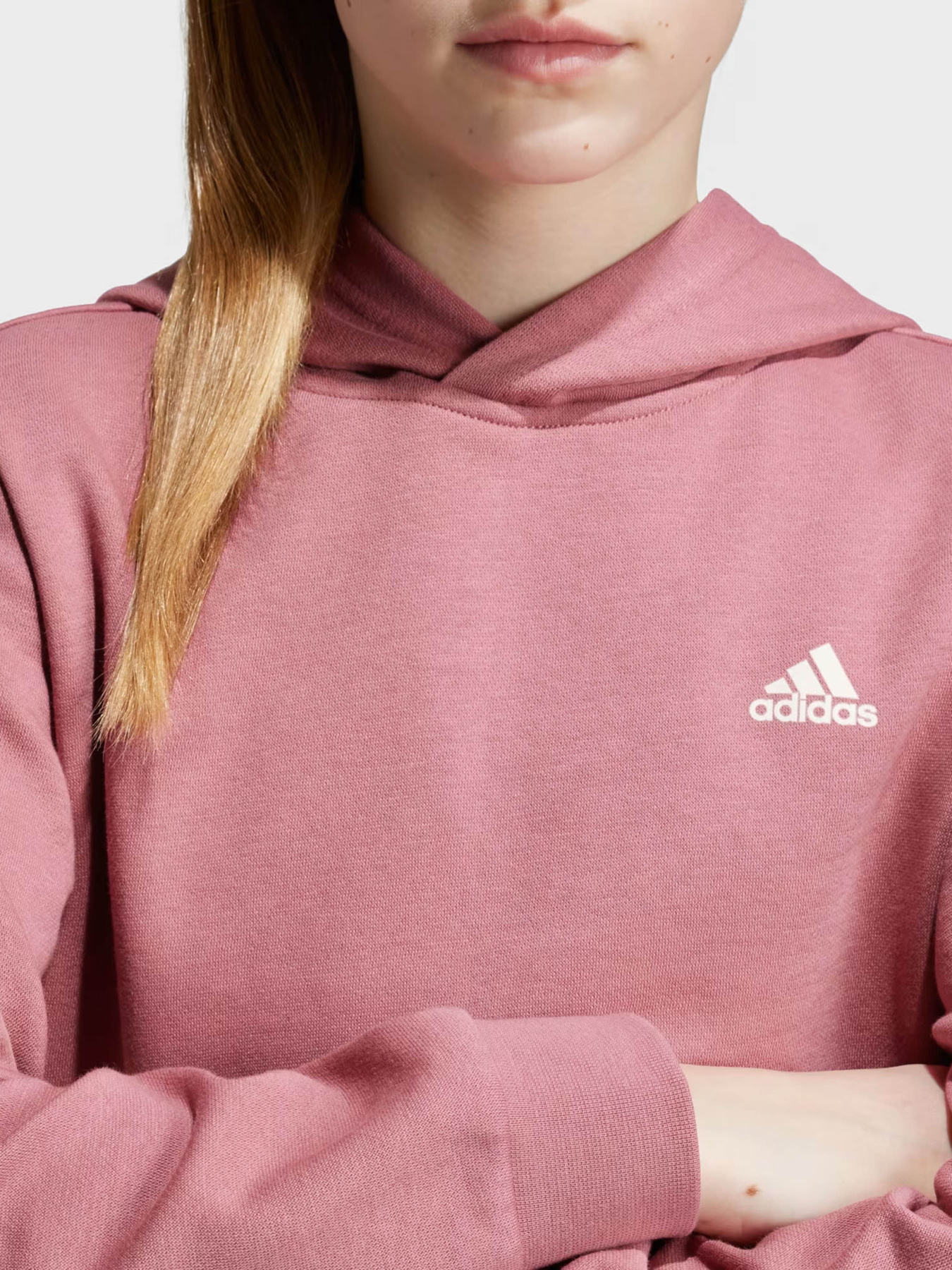 Худи Adidas Essentials Small Logo модель IX9509 Фото