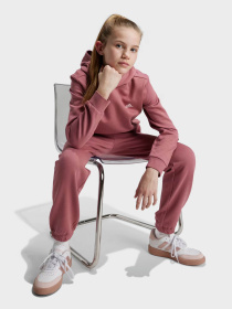 Худи Adidas Essentials Small Logo модель IX9509 Фото