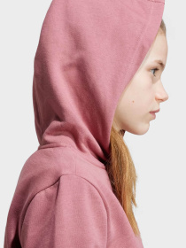 Худи Adidas Essentials Small Logo модель IX9509 Фото