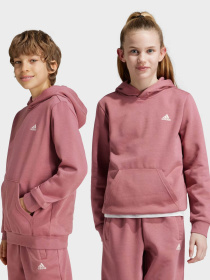 Худи Adidas ESSENTIALS SMALL LOGO модель IX9509 Фото