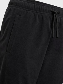 Спортивні штани Adidas FUTURE ICONS FLEECE модель JF2514 Фото