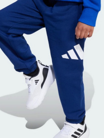 Спортивный костюм Adidas Essentials модель JM0881 Фото