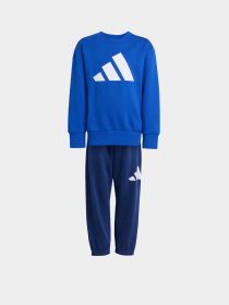 Спортивный костюм Adidas Essentials модель JM0881 Фото