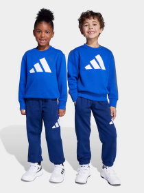 Спортивний костюм Adidas ESSENTIALS модель JM0881 Фото